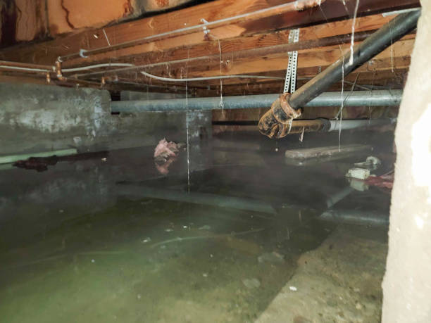 24/7 water damage repair in KS