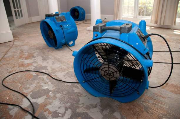 Best 24/7 water damage repair  in Garden City, KS