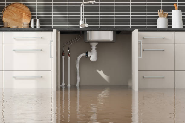 Best Mold removal after water damage  in Garden City, KS