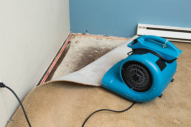 Best Water damage cleanup near me  in Garden City, KS